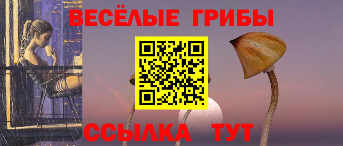 купить наркотики сайты  Вход с VPN  Елабуга  Галлюциногенные грибы Psilocybine cubensis 